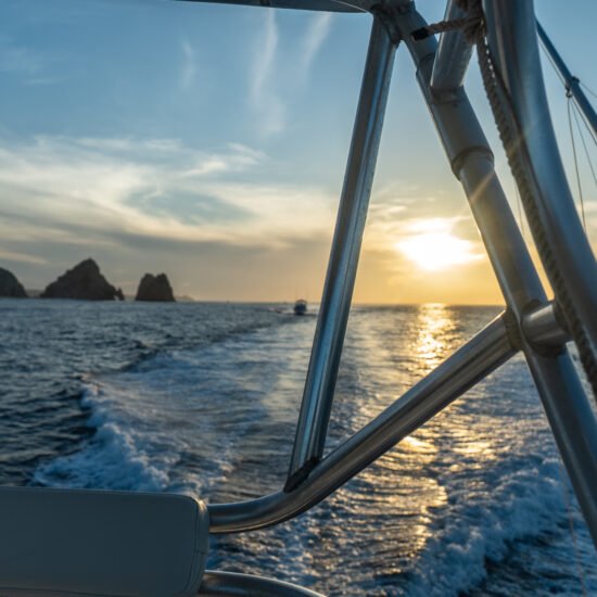 Cabo Experience Tours - Sporftishing 33" Cabine Cruise