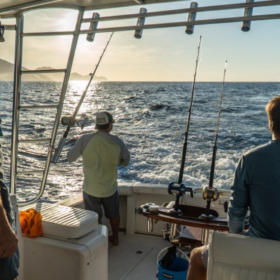 Cabo Experience Tours - Sportfishing 44" Cabine Cruise Tour