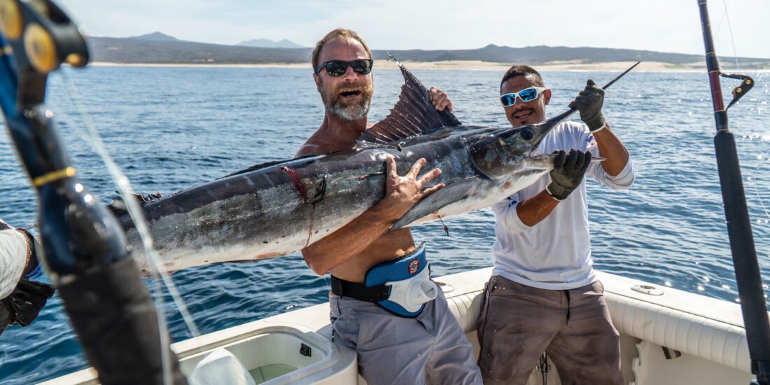 Cabo Experience Tours - Sporftishing 33" Cabine Cruise