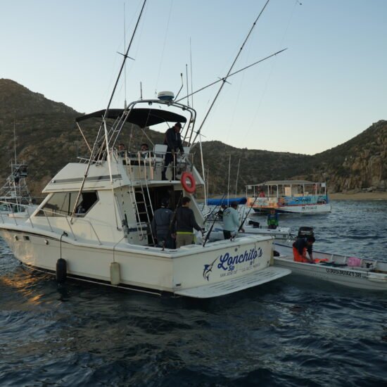 Cabo Experience Tours - Activities and tours