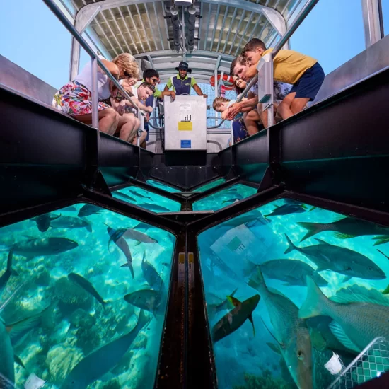Glass bottom boat to the arch - cabo experience tours